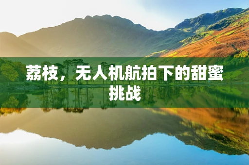 荔枝，无人机航拍下的甜蜜挑战