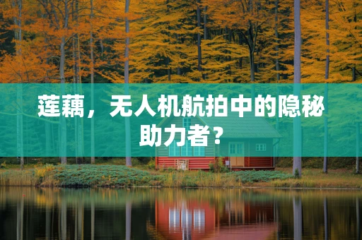 莲藕，无人机航拍中的隐秘助力者？