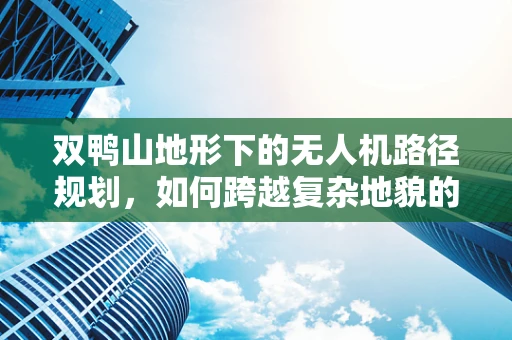 双鸭山地形下的无人机路径规划，如何跨越复杂地貌的挑战？