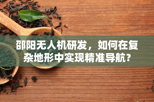 邵阳无人机研发，如何在复杂地形中实现精准导航？