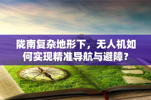 陇南复杂地形下，无人机如何实现精准导航与避障？