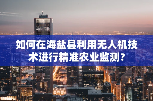 如何在海盐县利用无人机技术进行精准农业监测？
