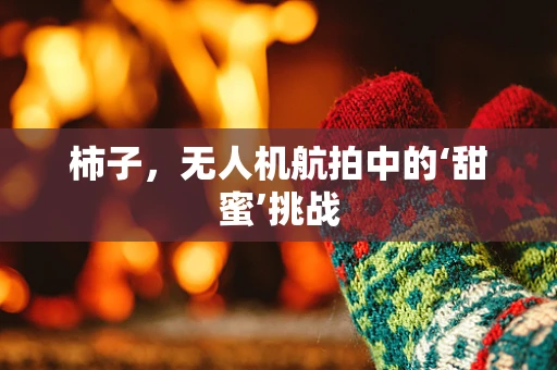 柿子，无人机航拍中的‘甜蜜’挑战