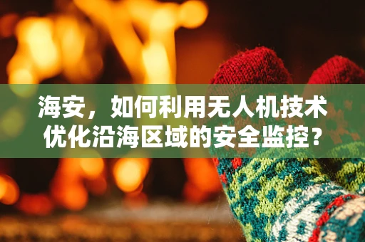 海安，如何利用无人机技术优化沿海区域的安全监控？