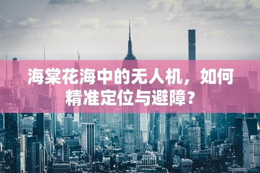 海棠花海中的无人机，如何精准定位与避障？