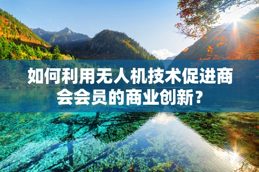如何利用无人机技术促进商会会员的商业创新？