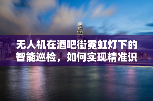 无人机在酒吧街霓虹灯下的智能巡检，如何实现精准识别与避障？