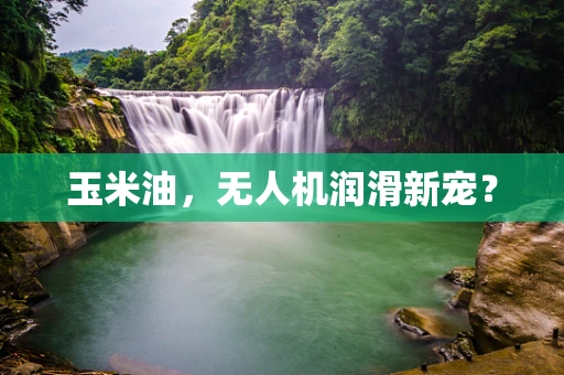 玉米油，无人机润滑新宠？