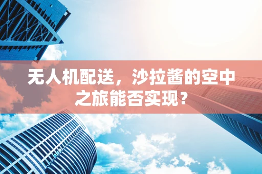 无人机配送，沙拉酱的空中之旅能否实现？