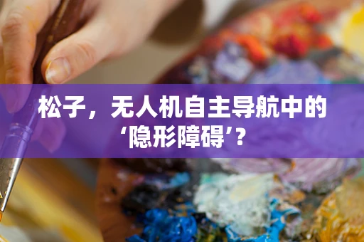 松子，无人机自主导航中的‘隐形障碍’？