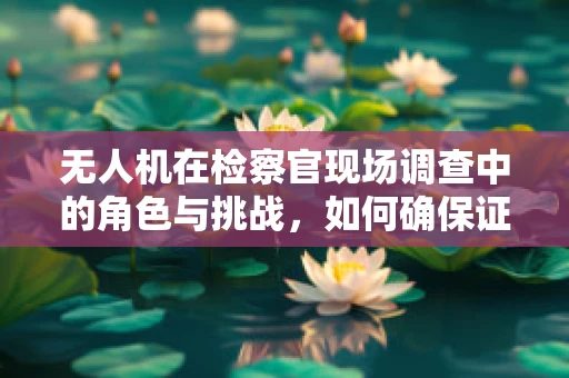 无人机在检察官现场调查中的角色与挑战，如何确保证据收集的准确性和安全性？