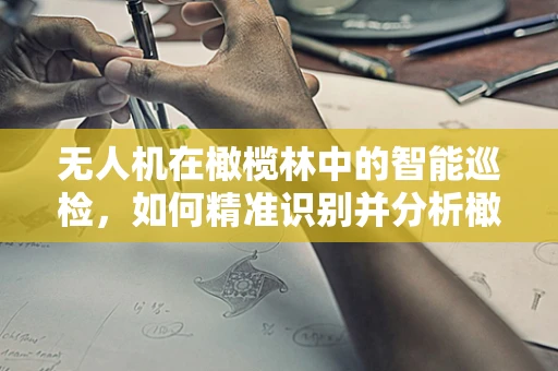 无人机在橄榄林中的智能巡检，如何精准识别并分析橄榄的成熟度？