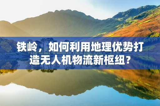 铁岭，如何利用地理优势打造无人机物流新枢纽？