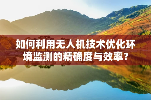 如何利用无人机技术优化环境监测的精确度与效率？