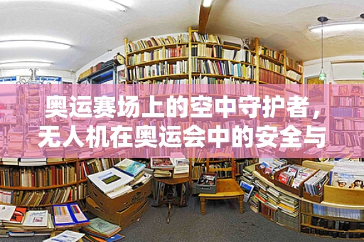 奥运赛场上的空中守护者，无人机在奥运会中的安全与效率挑战