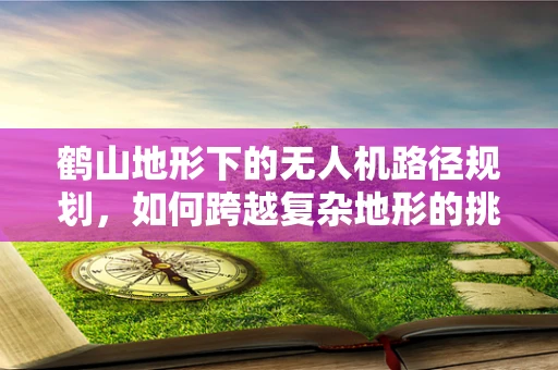 鹤山地形下的无人机路径规划，如何跨越复杂地形的挑战？