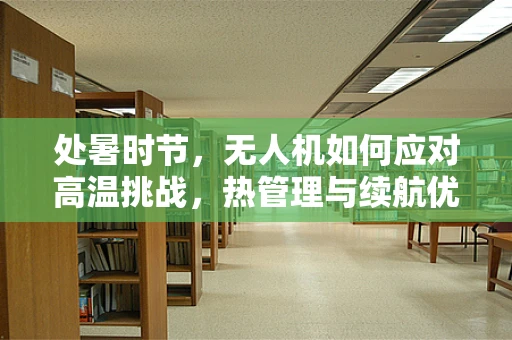 处暑时节，无人机如何应对高温挑战，热管理与续航优化的技术难题？