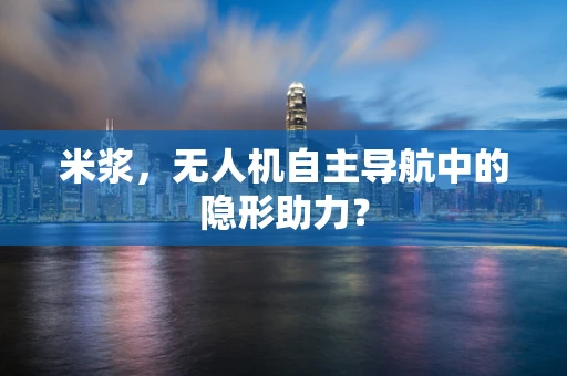 米浆，无人机自主导航中的隐形助力？