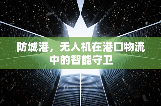 防城港，无人机在港口物流中的智能守卫