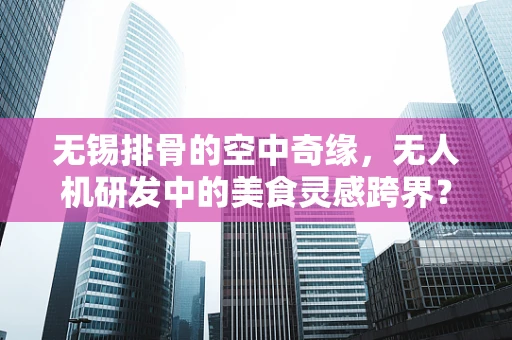 无锡排骨的空中奇缘，无人机研发中的美食灵感跨界？