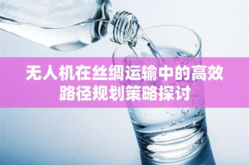无人机在丝绸运输中的高效路径规划策略探讨