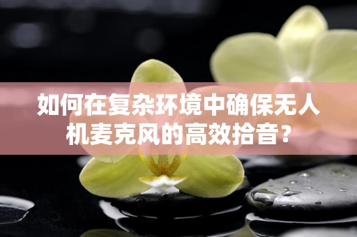 如何在复杂环境中确保无人机麦克风的高效拾音？