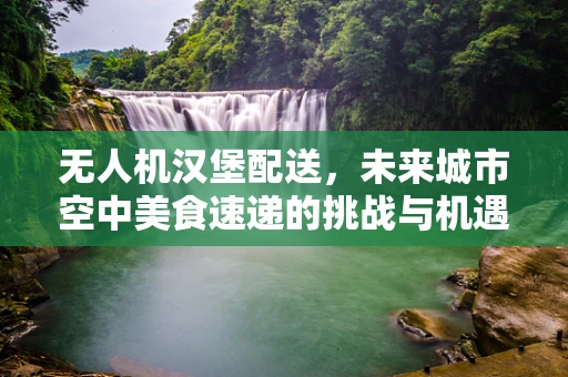 无人机汉堡配送，未来城市空中美食速递的挑战与机遇？