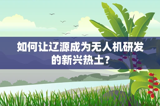 如何让辽源成为无人机研发的新兴热土？