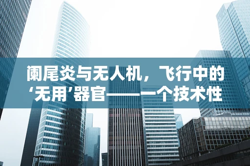 阑尾炎与无人机，飞行中的‘无用’器官——一个技术性隐喻？