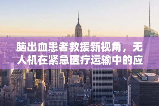 脑出血患者救援新视角，无人机在紧急医疗运输中的应用挑战与解决方案