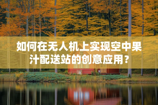如何在无人机上实现空中果汁配送站的创意应用？