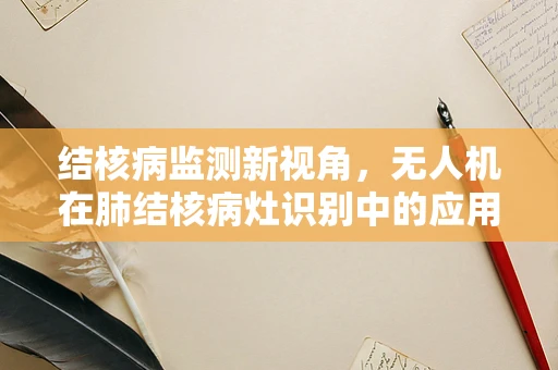 结核病监测新视角，无人机在肺结核病灶识别中的应用挑战
