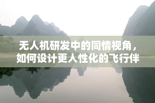 无人机研发中的同情视角，如何设计更人性化的飞行伴侣？