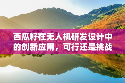 西瓜籽在无人机研发设计中的创新应用，可行还是挑战？