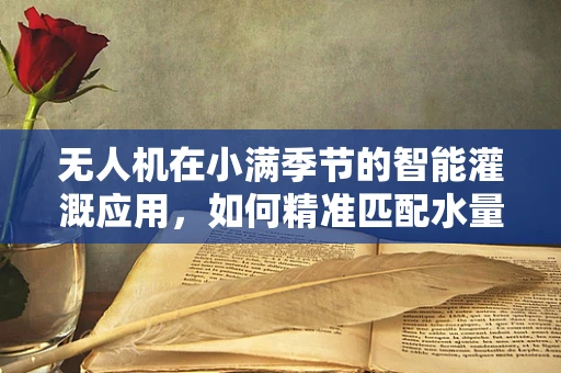 无人机在小满季节的智能灌溉应用，如何精准匹配水量与作物需求？
