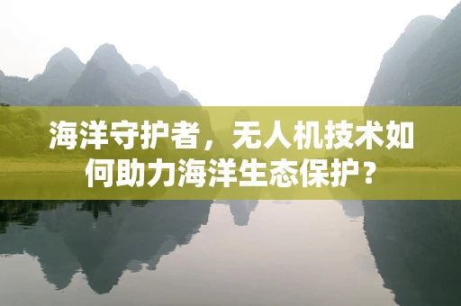 海洋守护者，无人机技术如何助力海洋生态保护？