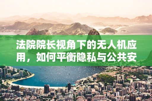 法院院长视角下的无人机应用，如何平衡隐私与公共安全？