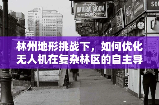 林州地形挑战下，如何优化无人机在复杂林区的自主导航能力？