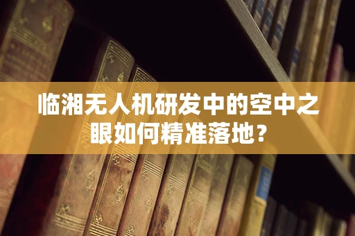 临湘无人机研发中的空中之眼如何精准落地？