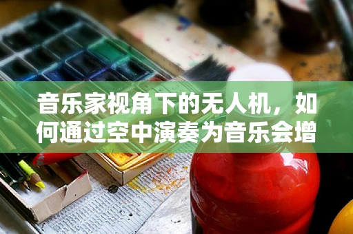 音乐家视角下的无人机，如何通过空中演奏为音乐会增添新维度？