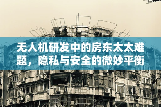 无人机研发中的房东太太难题，隐私与安全的微妙平衡