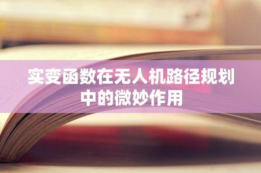 实变函数在无人机路径规划中的微妙作用