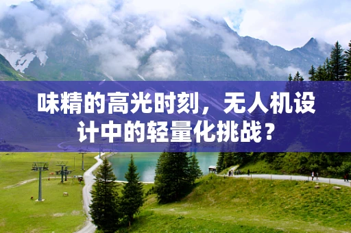 味精的高光时刻，无人机设计中的轻量化挑战？