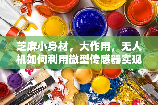 芝麻小身材，大作用，无人机如何利用微型传感器实现精准导航？