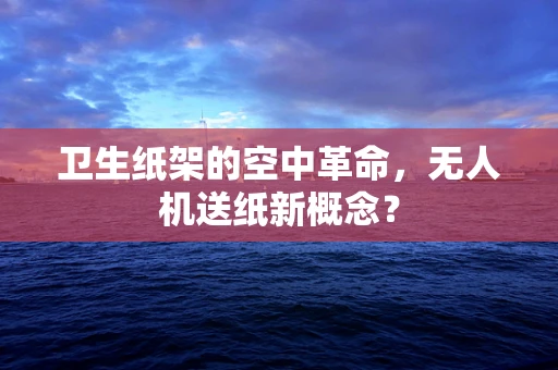 卫生纸架的空中革命，无人机送纸新概念？