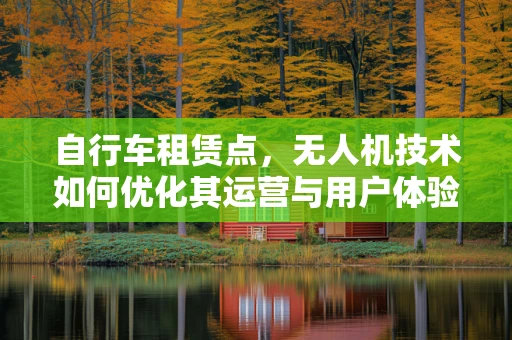 自行车租赁点，无人机技术如何优化其运营与用户体验？