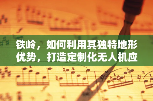 铁岭，如何利用其独特地形优势，打造定制化无人机应用场景？