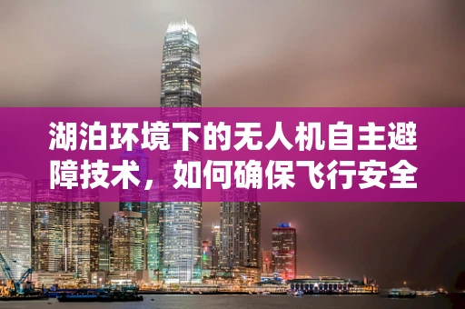 湖泊环境下的无人机自主避障技术，如何确保飞行安全？