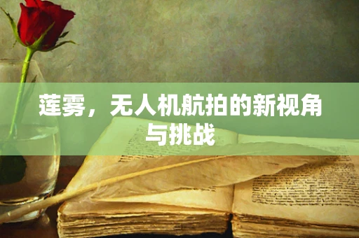 莲雾，无人机航拍的新视角与挑战