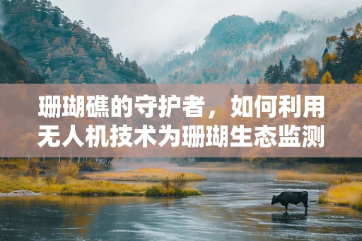 珊瑚礁的守护者，如何利用无人机技术为珊瑚生态监测装上珊瑚饰？